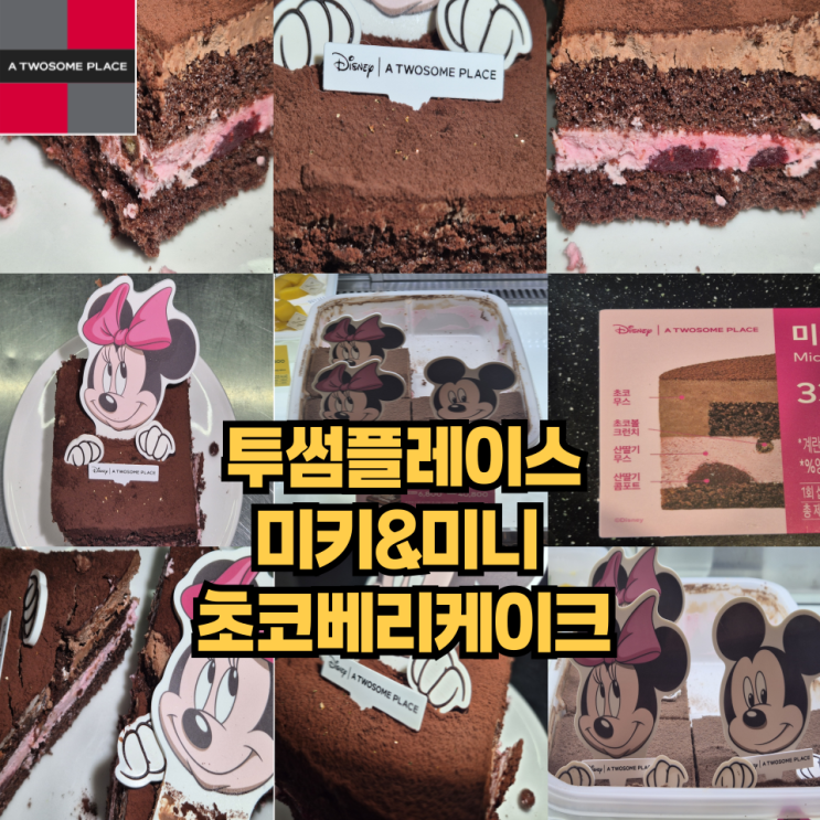 투썸 떠먹는 미키 미니 초코베리케이크 후기