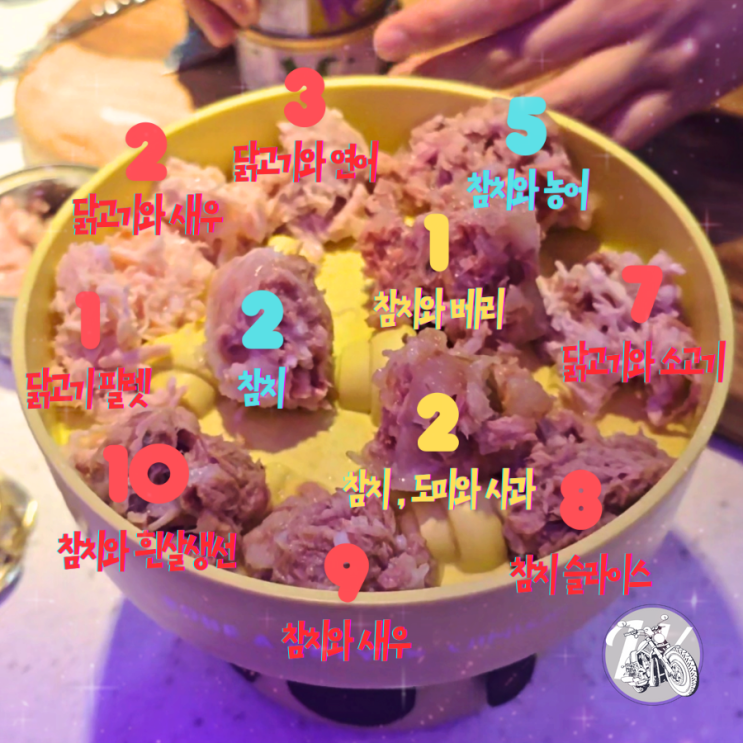  고양이 습식캔 사료 고민 끝 내추럴코드 추천 11종 전체 후기