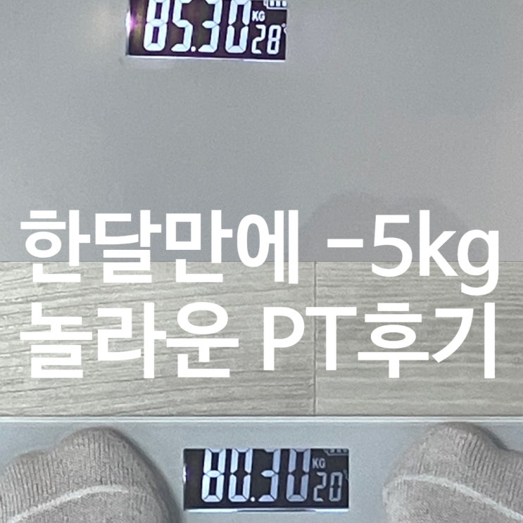  탄현 헬스장 한달만에 5kg 감량?!