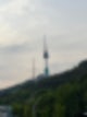 도심 속 자연_남산야외식물원