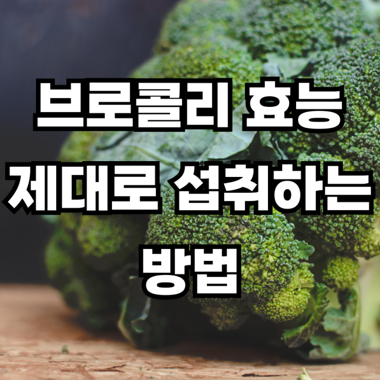 브로콜리 섭취법 데치기 절대 하지마세요 이렇게 드셔야 합니다