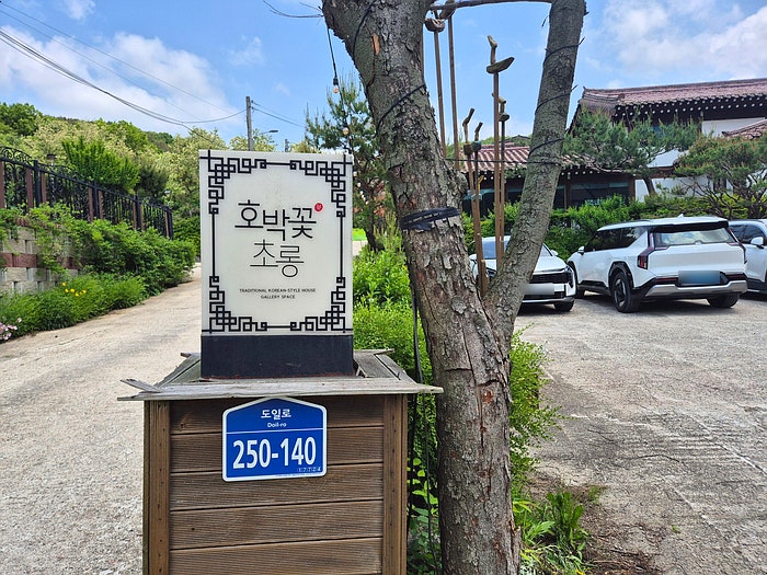 호박꽃초롱 사진 2