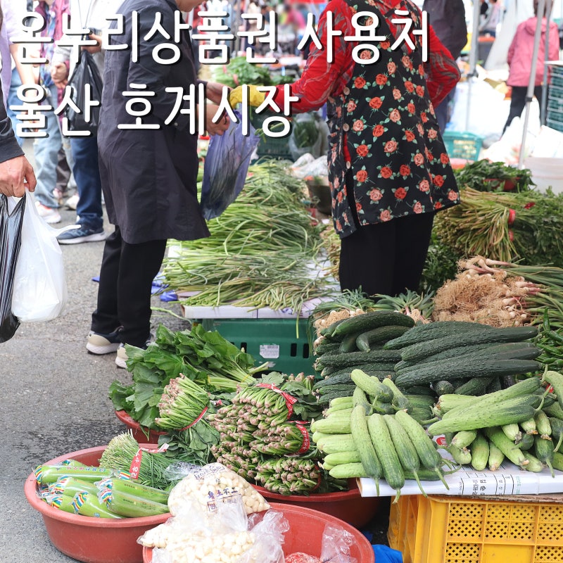 울산 온누리상품권 사용처, 북구 호계시장 맛집 먹거리 구경