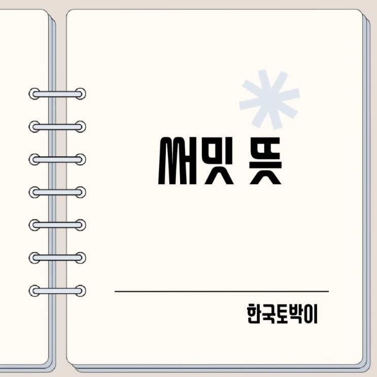  써밋 뜻 summit이란?
