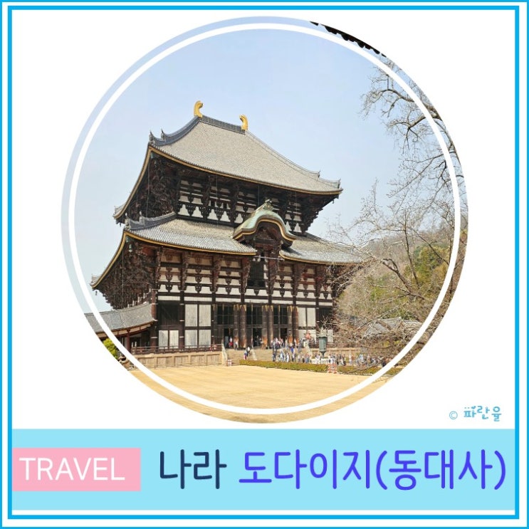  일본 오사카 근교 나라 당일치기 여행 도다이지 동대사 시간 입장료 후기