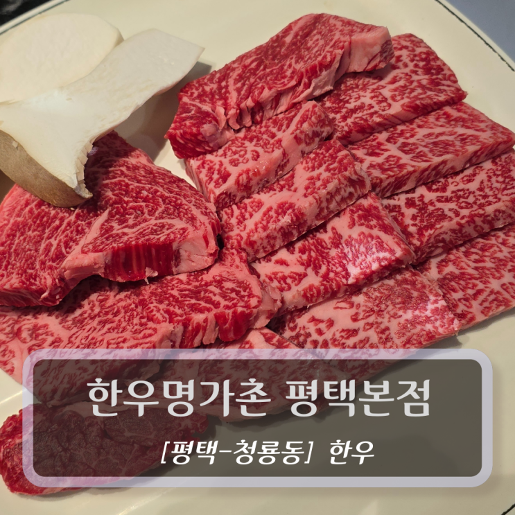  평택 한우 맛집 :: 한우명가촌 평택본점 - 소고기 회식장소 추천