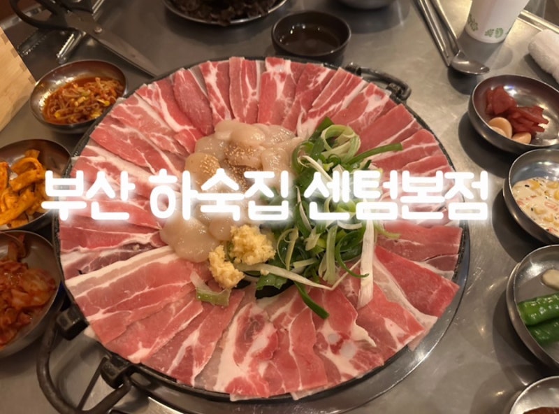 부산 해운대 애견동반식당 야장 분위기가 너무 좋은 하숙집
