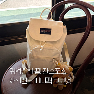 잔스포츠 하이랜드 미니팩 코코넛 미니백팩 내돈내산 후기