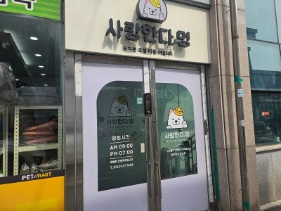 사진 8