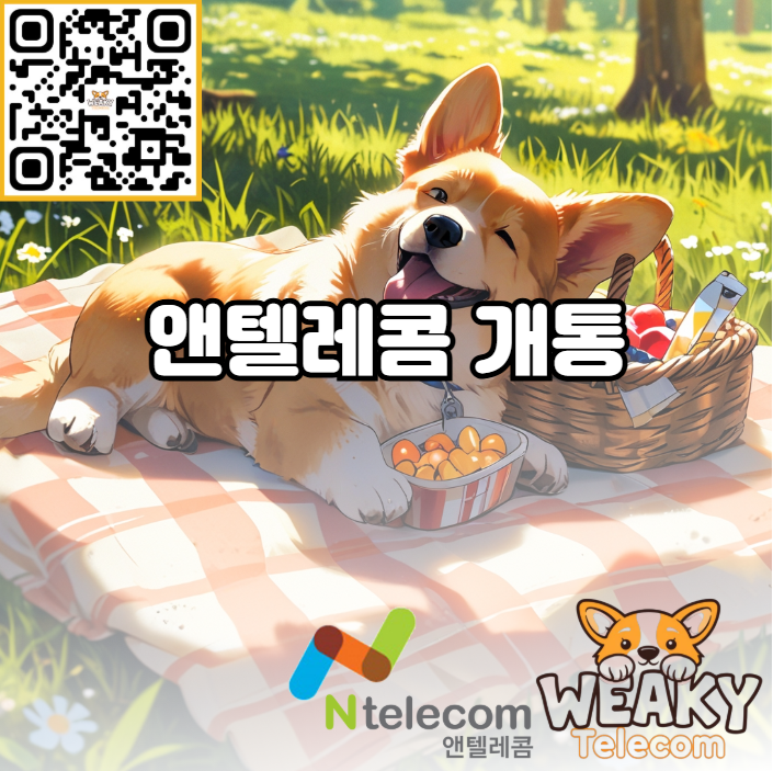  앤텔레콤 개통 N플랫폼 셀프개통으로 간단하게 끝마쳐보자!