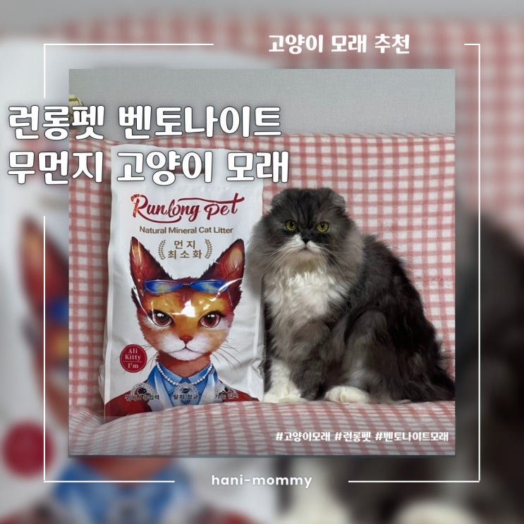 고양이 모래 추천, 런롱펫 벤토나이트 무먼지 고양이 모래 고양이 모래 추천, 런롱펫 벤토나이트 무먼지 고양이 모래