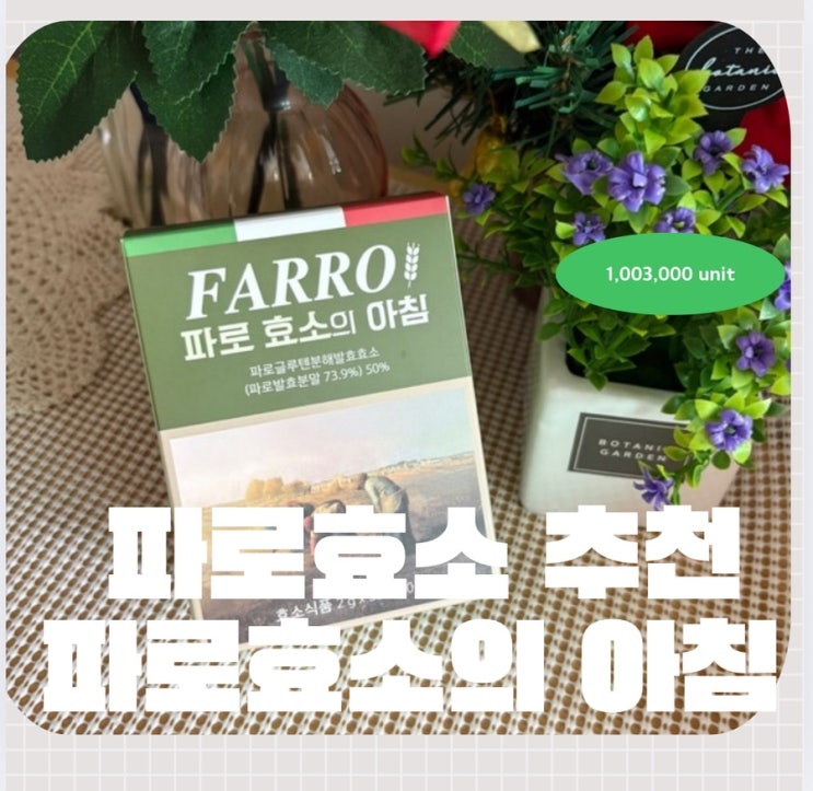  [파로 효소의 아침] 고소한 인절미 맛으로 시작하는 나의 하루 루틴