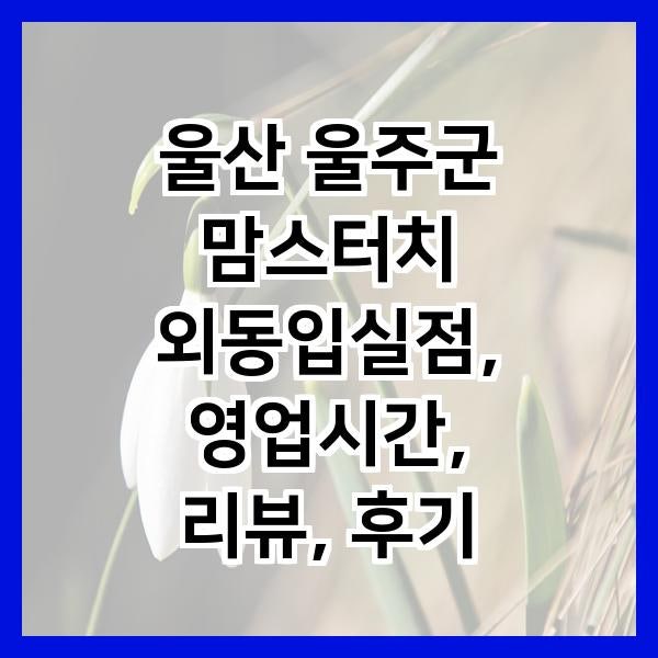 맘스터치 외동입실점 사진 1