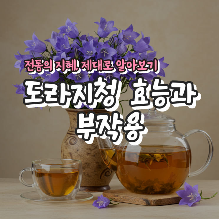  도라지청 효능과 부작용 – 전통의 지혜, 제대로 알아보기