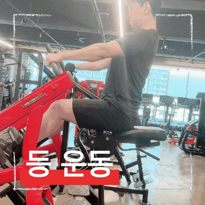  헬스 초보 입문자를 위한 등 운동 루틴 및 포인트