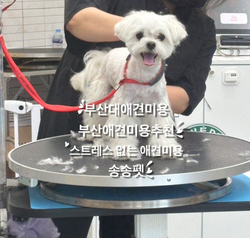 사진 4