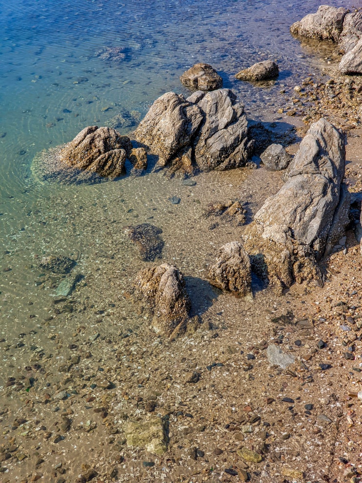  충남 서산 여행, 웅도 해안산책로와 가로림만의 아름다운 모습(잠수교 근황)