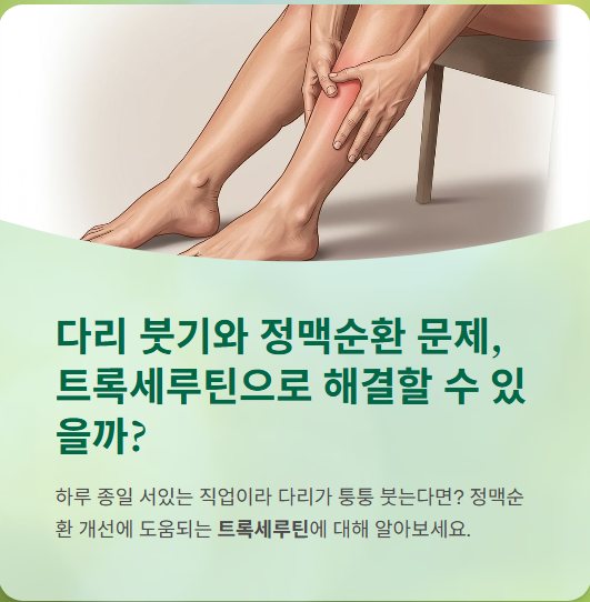  트록세루틴 가격, 복용법, 부작용, 효과, 후기까지 총정리!!!