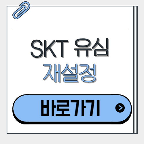  SKT 유심 재설정 방법 완벽 가이드