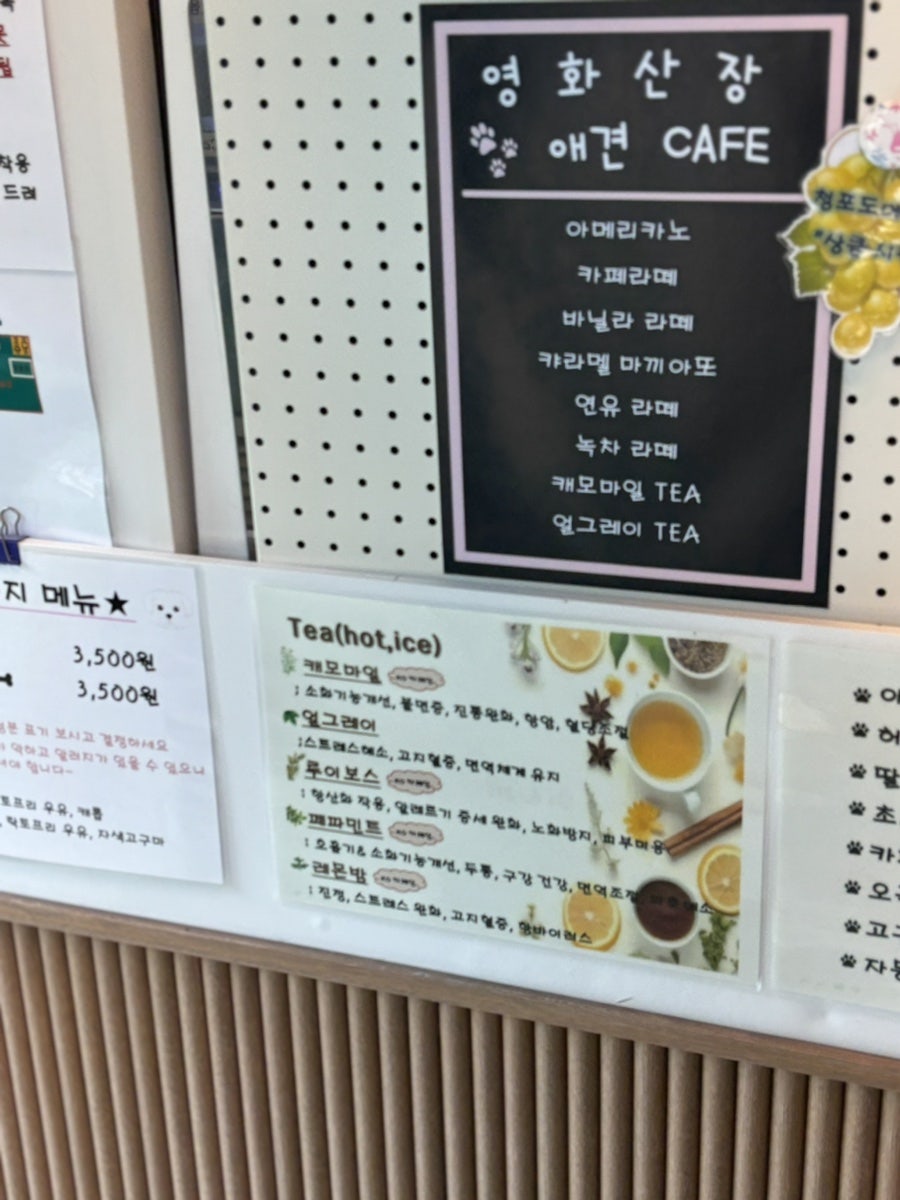 밥푸리 사진 6