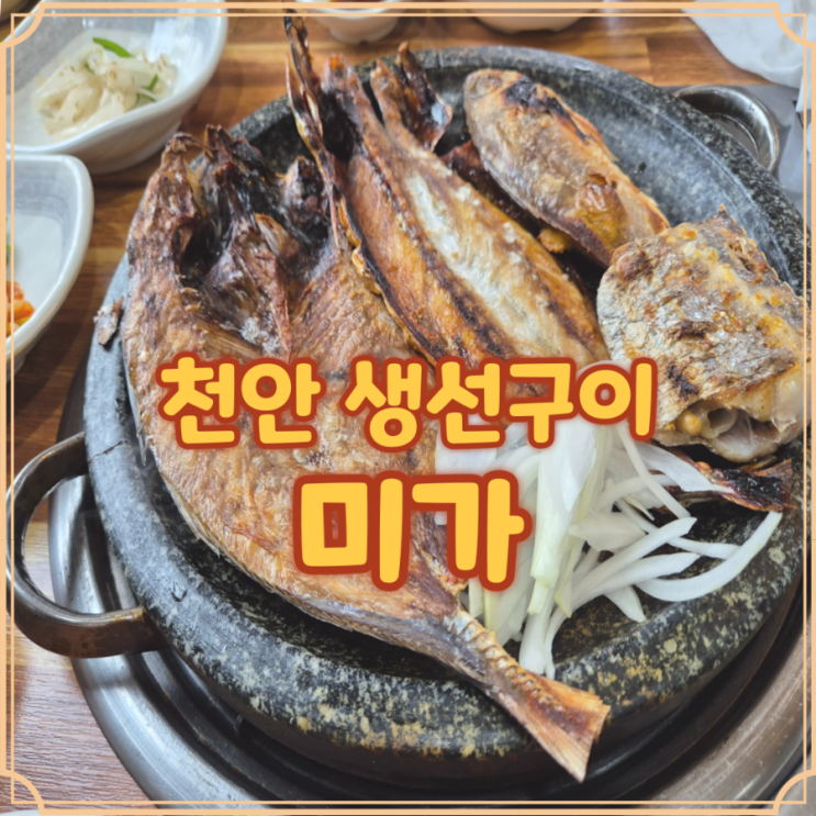  천안 생선구이 유량동 한식 맛집 미가에서 제대로 한끼