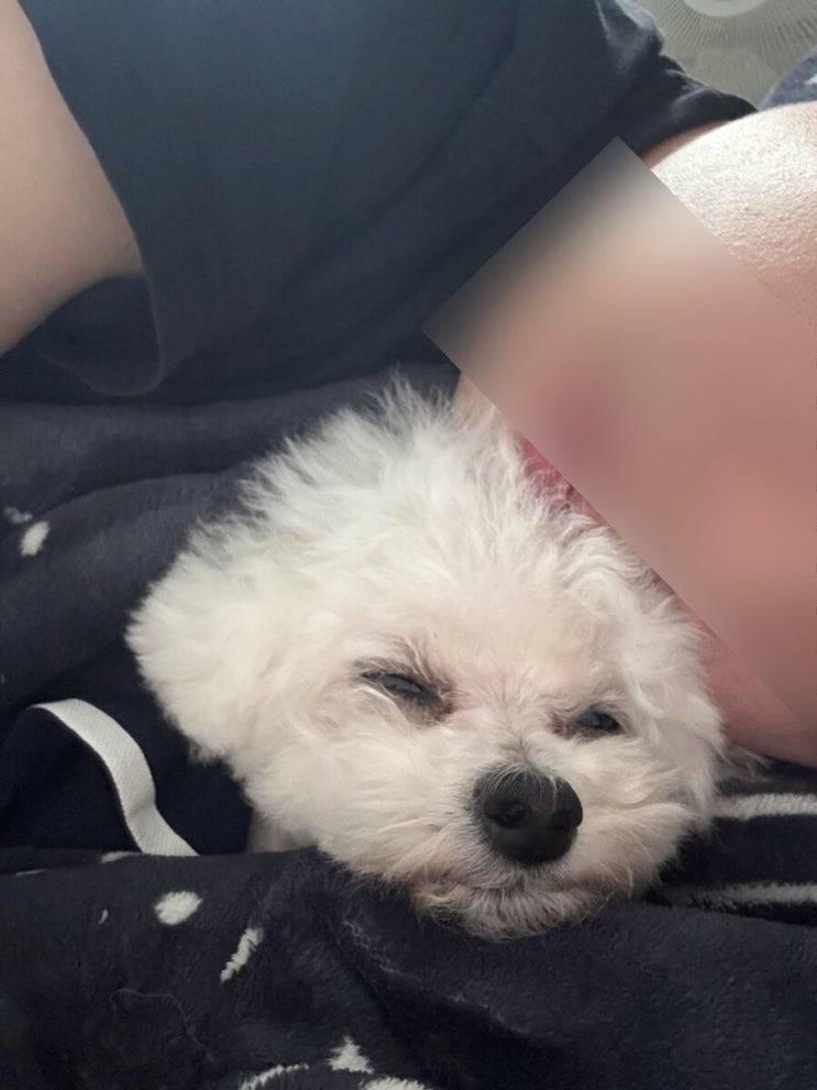  AU.2 진짜 호주 여행 계획 다 끝내버리자