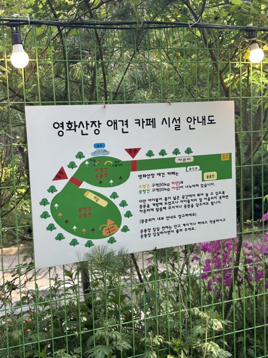 밥푸리 사진 4