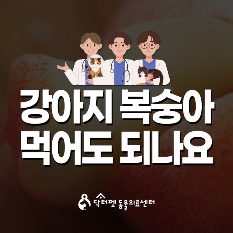  강아지 복숭아 먹어도 되나요? (부산 24시 동물병원 닥터펫동물의료센터)