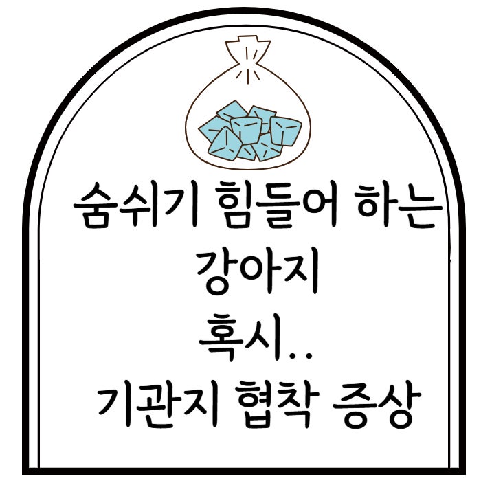  숨쉬기 힘들어하는 반려견, 혹시 기관지 협착일까요?