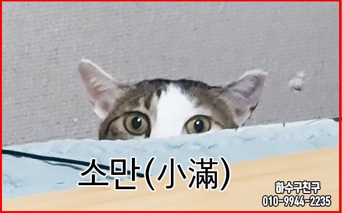 24절기