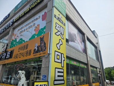 사진 7