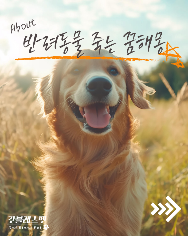 반려동물 죽는 꿈 해몽, 강아지 죽는 꿈, 고양이 죽는 꿈