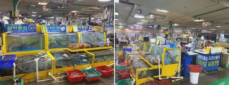  [맛집리뷰] 설악횟집, 속초중앙시장횟집에서 신선한 해산물 맛보기!