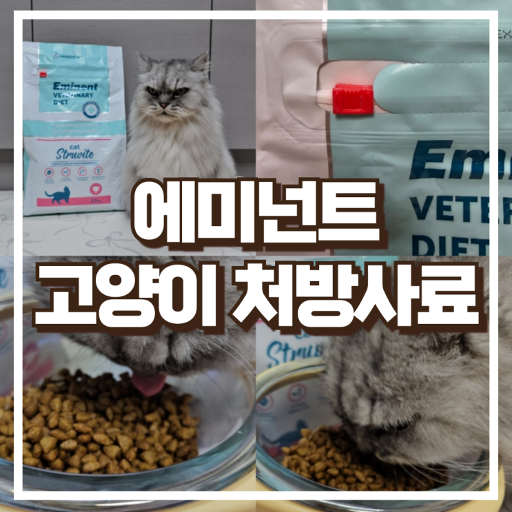  에미넌트 고양이사료 벳 다이어트 캣 스트루바이트 처방사료 추천