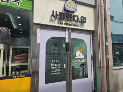 사진 4