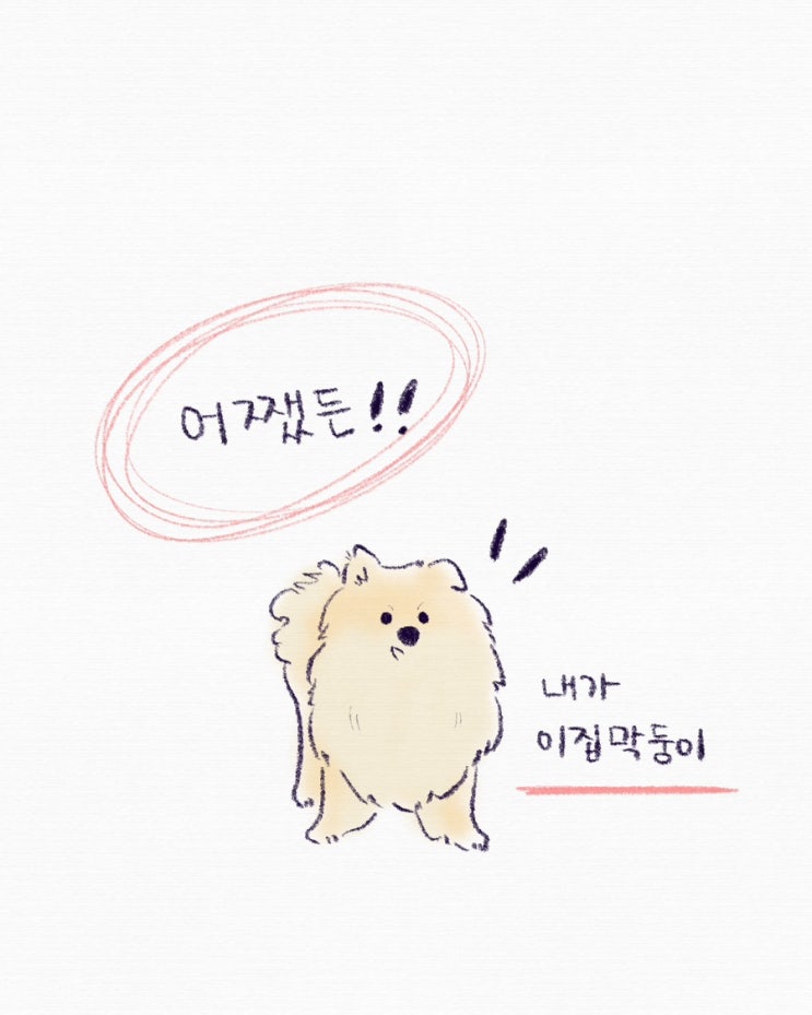 반려견육아일기 그림일기 마음일기