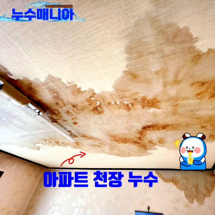  아파트천장누수 책임 정하는 방법 및 원인 종류