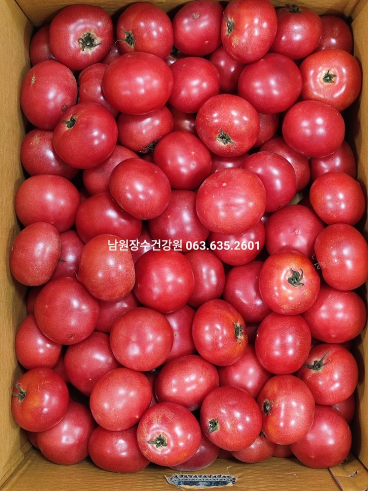  춘향골 남원 완숙 토마토즙! 물 타지 않은  진한  건강 주스 한 잔!