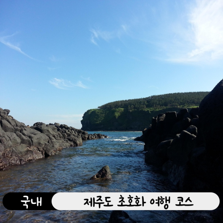  제주도에서 2박 3일에 천만 원?! 유튜브 고영재 초호화 제주 여행 그대로 따라가봤습니다