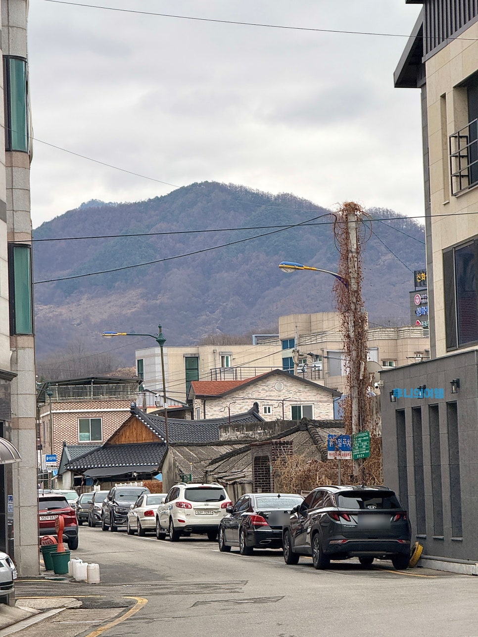 울산식당 사진 3