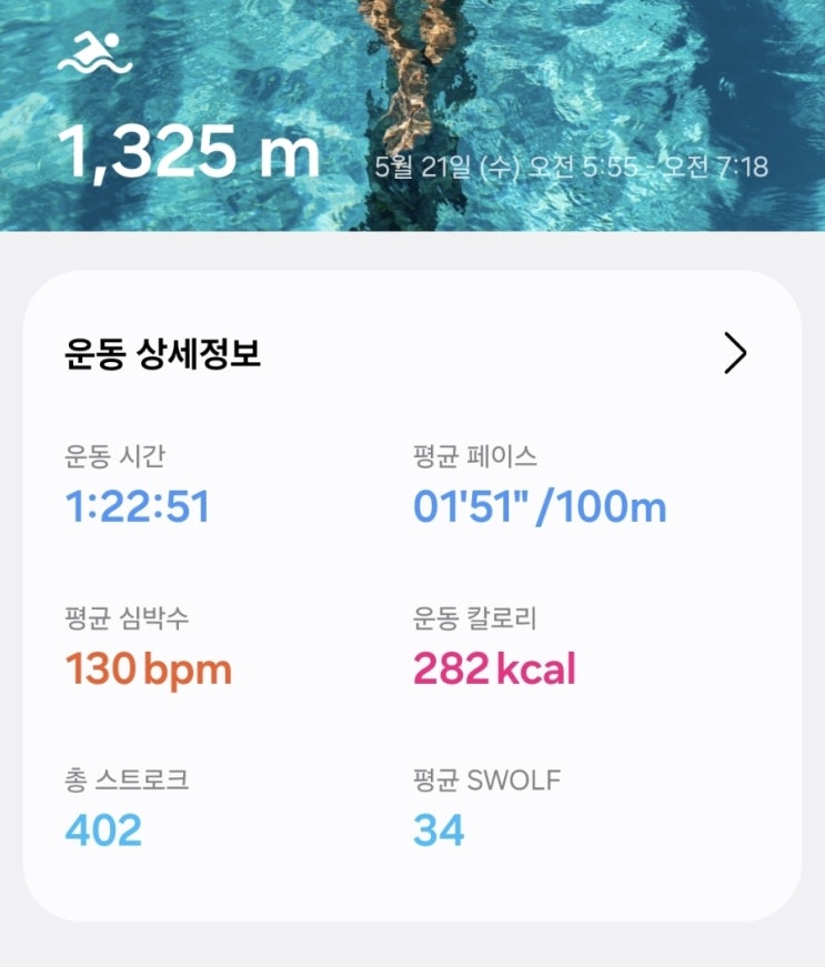  [새벽 수영일기] 오리발 핀데이! 접영부터 배영까지, 오늘도 나를 깨우는 물속 루틴