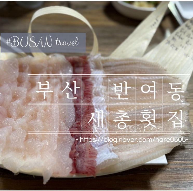 부산 해운대구 반여동 현지인 맛집 자연산 잡어 오마카세 사시미 새총횟집 참가자미 이시가리