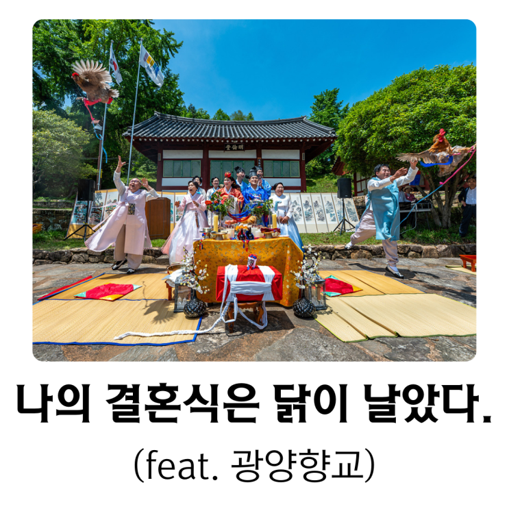  나의 결혼식은 닭이 날았다(feat. 광양향교)