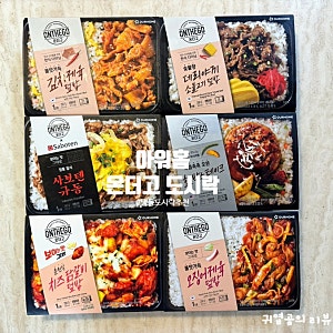 아워홈 온더고 도시락 6종 내돈내산 리뷰 냉동도시락 추천