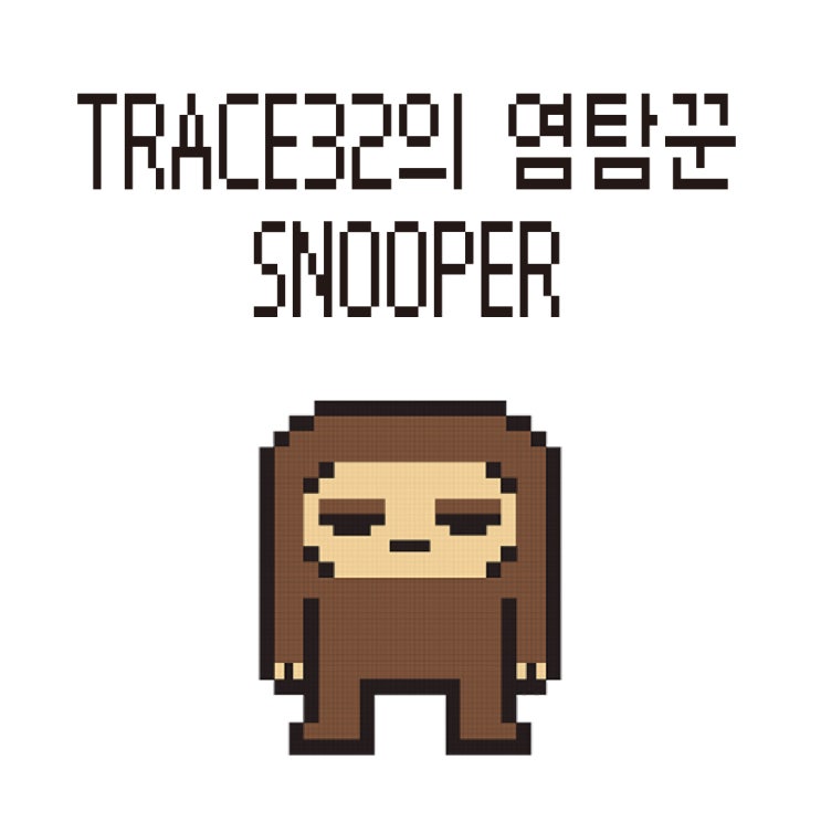  TRACE32의 염탐꾼 SNOOPER