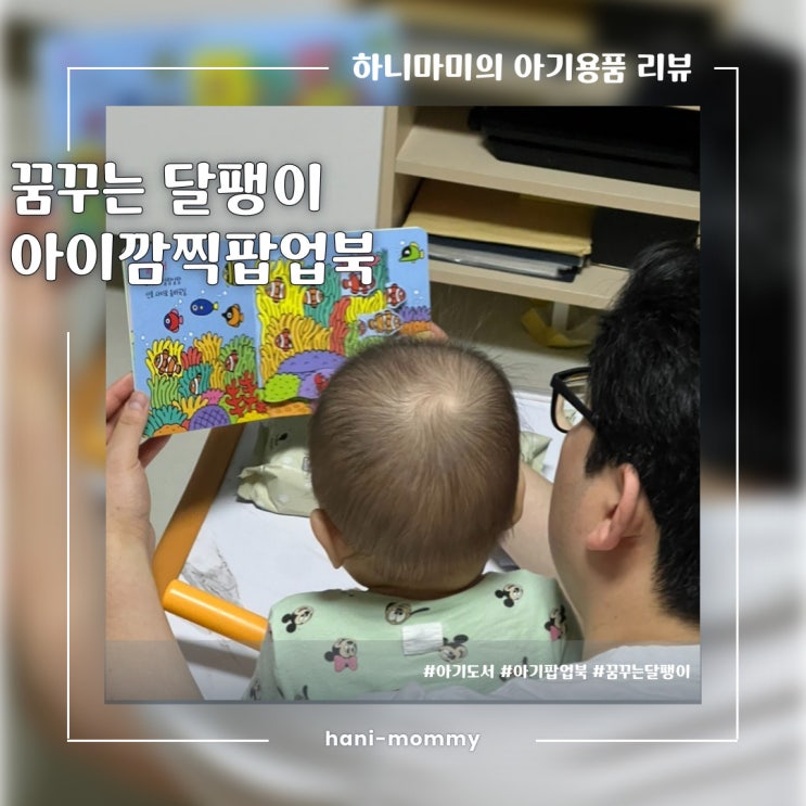 아기 팝업북 추천, 꿈꾸는 달팽이 NEW 아이 깜찍 팝업북 6권 세트 아기 팝업북 추천, 꿈꾸는 달팽이 NEW 아이 깜찍 팝업북 6권 세트