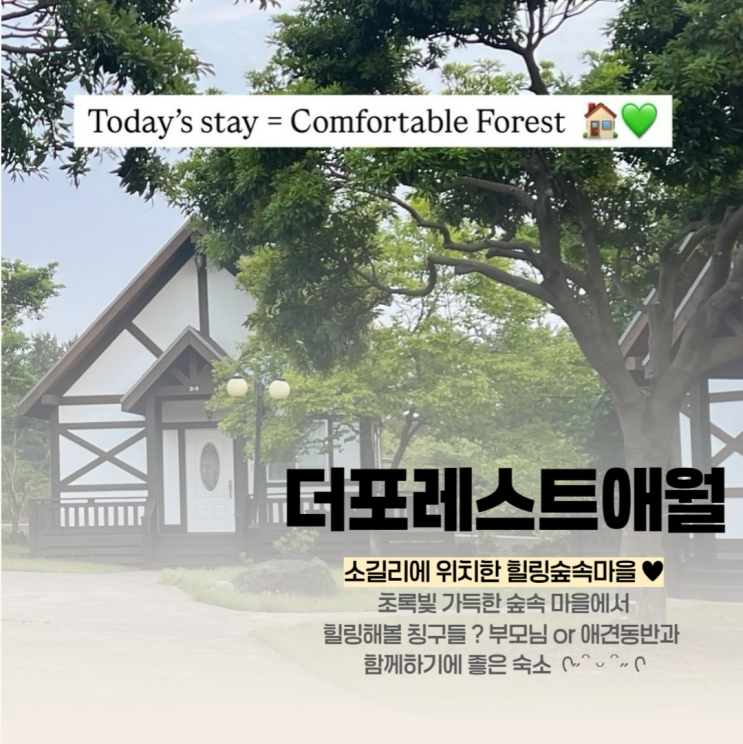  제주도 애견동반펜션 더포레스트애월 찐후기