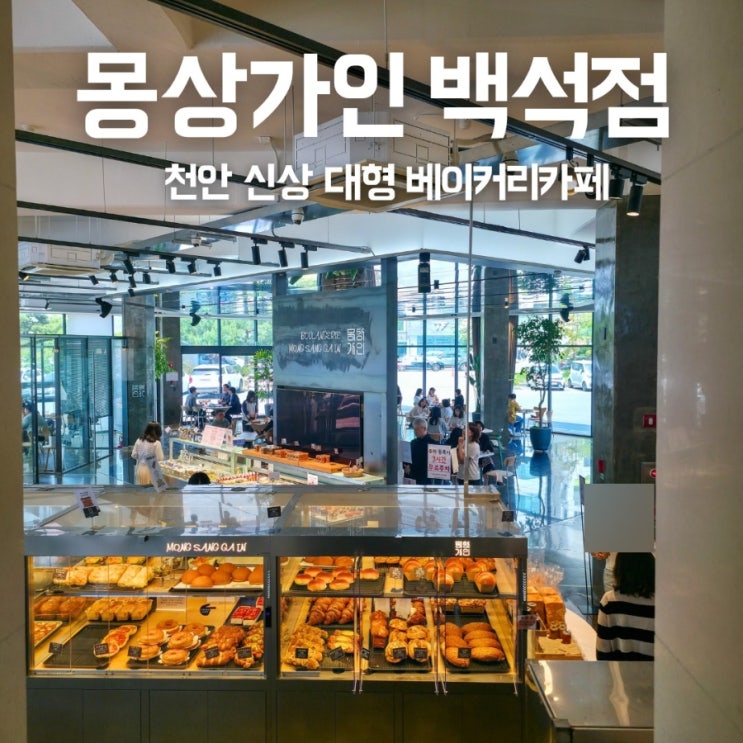  천안 백석동 신상 대형카페 몽상가인 규모 어마어마해