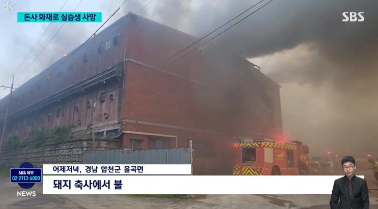  합천 축사 화재, 현장실습 나갔다가... 불길에 갇혀 숨진 20살 대학생의 안타까운 사고