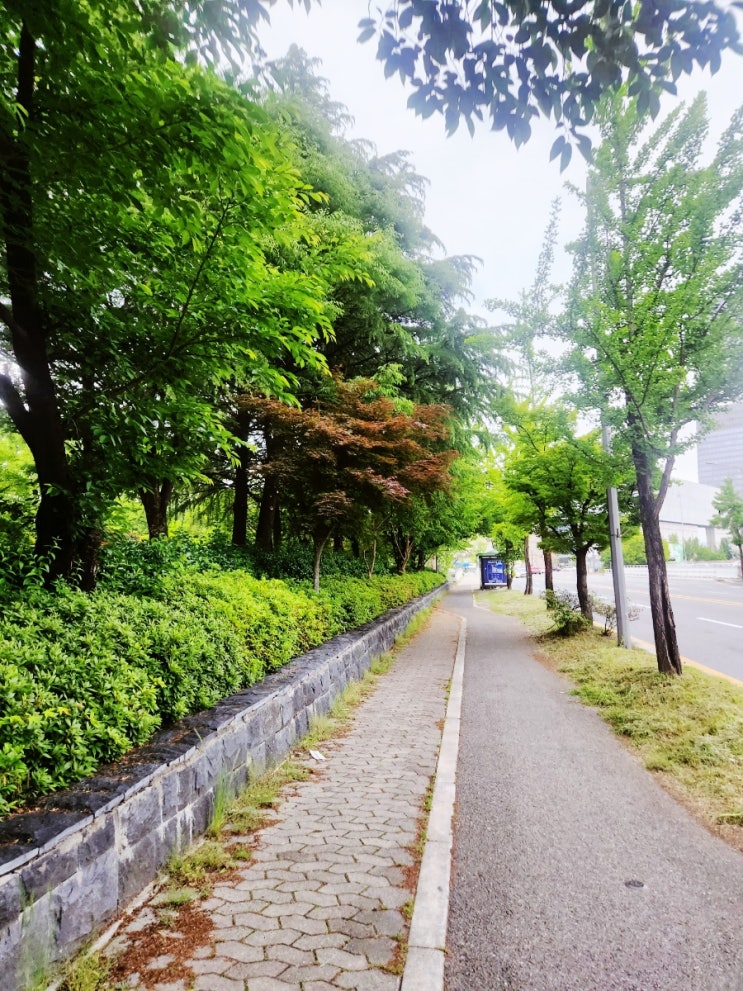  걷기 운동 진행 중 - 유산소 운동